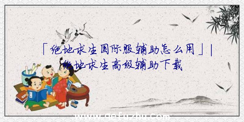 「绝地求生国际服辅助怎么用」|绝地求生高级辅助下载